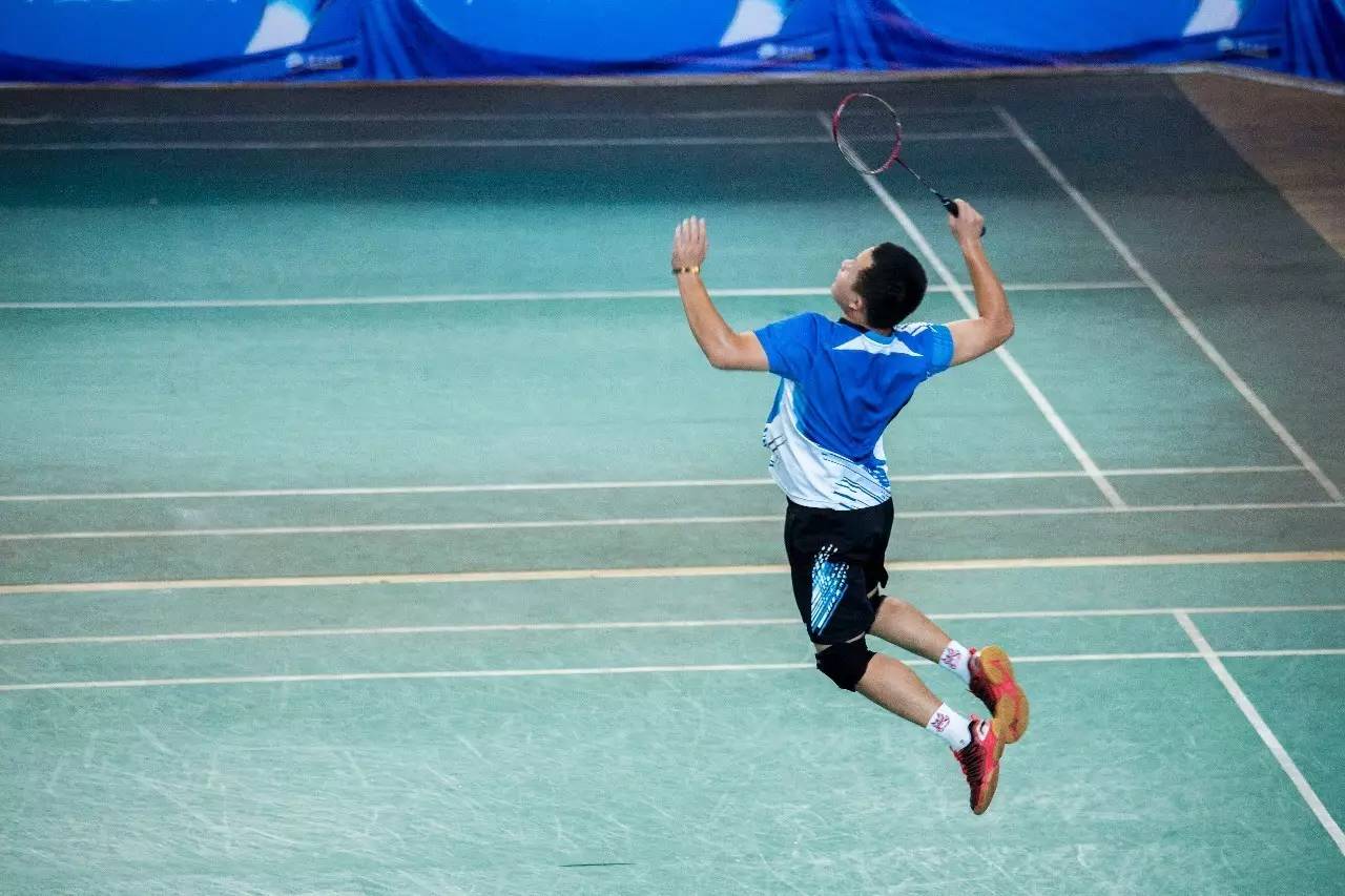 可能会寻求 可能会寻求